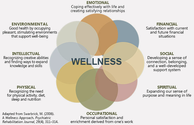 Dimensions of wellness. This graph shows the 8 dimensions of wellness. This includes Emotional, Environmental, Intellectual, Physical, Occupational, Spiritual, Social, and Financial wellness.